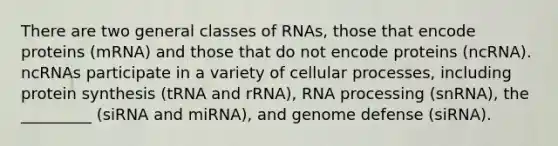 There are two general classes of RNAs, those that encode proteins (mRNA) and those that do not encode proteins (ncRNA). ncRNAs participate in a variety of cellular processes, including protein synthesis (tRNA and rRNA), <a href='https://www.questionai.com/knowledge/kapY3KpASG-rna-processing' class='anchor-knowledge'>rna processing</a> (snRNA), the _________ (siRNA and miRNA), and genome defense (siRNA).