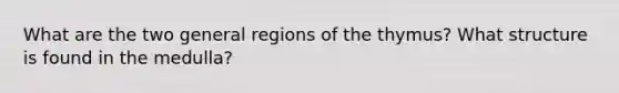 What are the two general regions of the thymus? What structure is found in the medulla?