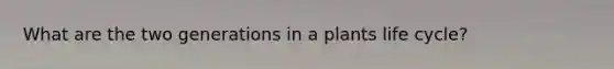 What are the two generations in a plants life cycle?