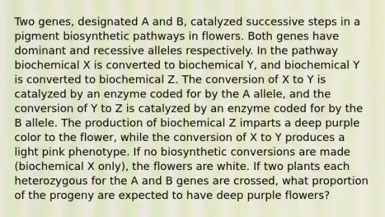 Two genes, designated A and B, catalyzed successive steps in a pigment biosynthetic pathways in flowers. Both genes have dominant and recessive alleles respectively. In the pathway biochemical X is converted to biochemical Y, and biochemical Y is converted to biochemical Z. The conversion of X to Y is catalyzed by an enzyme coded for by the A allele, and the conversion of Y to Z is catalyzed by an enzyme coded for by the B allele. The production of biochemical Z imparts a deep purple color to the flower, while the conversion of X to Y produces a light pink phenotype. If no biosynthetic conversions are made (biochemical X only), the flowers are white. If two plants each heterozygous for the A and B genes are crossed, what proportion of the progeny are expected to have deep purple flowers?