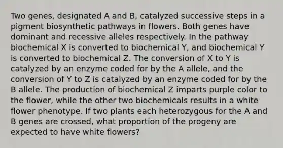 Two genes, designated A and B, catalyzed successive steps in a pigment biosynthetic pathways in flowers. Both genes have dominant and recessive alleles respectively. In the pathway biochemical X is converted to biochemical Y, and biochemical Y is converted to biochemical Z. The conversion of X to Y is catalyzed by an enzyme coded for by the A allele, and the conversion of Y to Z is catalyzed by an enzyme coded for by the B allele. The production of biochemical Z imparts purple color to the flower, while the other two biochemicals results in a white flower phenotype. If two plants each heterozygous for the A and B genes are crossed, what proportion of the progeny are expected to have white flowers?