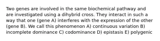 Two genes are involved in the same biochemical pathway and are investigated using a dihybrid cross. They interact in such a way that one (gene A) interferes with the expression of the other (gene B). We call this phenomenon A) continuous variation B) incomplete dominance C) codominance D) epistasis E) polygenic