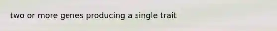 two or more genes producing a single trait