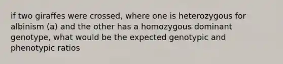 if two giraffes were crossed, where one is heterozygous for albinism (a) and the other has a homozygous dominant genotype, what would be the expected genotypic and phenotypic ratios