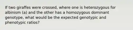 If two giraffes were crossed, where one is heterozygous for albinism (a) and the other has a homozygous dominant genotype, what would be the expected genotypic and phenotypic ratios?