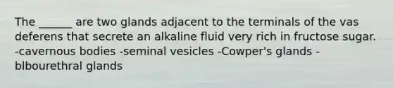 The ______ are two glands adjacent to the terminals of the vas deferens that secrete an alkaline fluid very rich in fructose sugar. -cavernous bodies -seminal vesicles -Cowper's glands -blbourethral glands