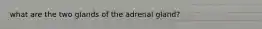 what are the two glands of the adrenal gland?