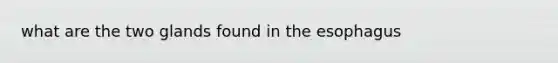 what are the two glands found in the esophagus