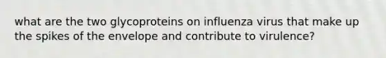 what are the two glycoproteins on influenza virus that make up the spikes of the envelope and contribute to virulence?