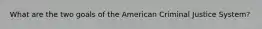 What are the two goals of the American Criminal Justice System?