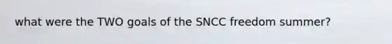 what were the TWO goals of the SNCC freedom summer?