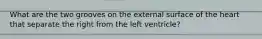 What are the two grooves on the external surface of the heart that separate the right from the left ventricle?