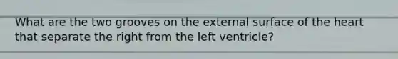 What are the two grooves on the external surface of the heart that separate the right from the left ventricle?