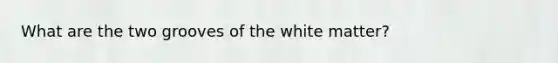 What are the two grooves of the white matter?