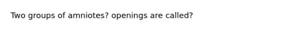 Two groups of amniotes? openings are called?