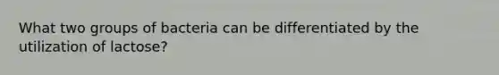 What two groups of bacteria can be differentiated by the utilization of lactose?