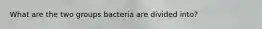 What are the two groups bacteria are divided into?