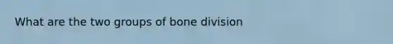 What are the two groups of bone division