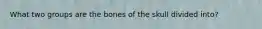 What two groups are the bones of the skull divided into?