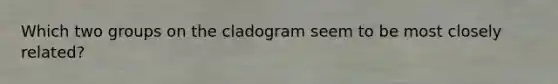 Which two groups on the cladogram seem to be most closely related?