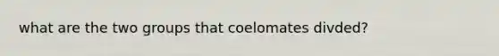 what are the two groups that coelomates divded?