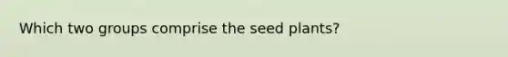 Which two groups comprise the seed plants?