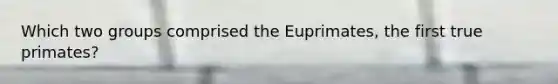 Which two groups comprised the Euprimates, the first true primates?