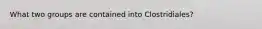 What two groups are contained into Clostridiales?