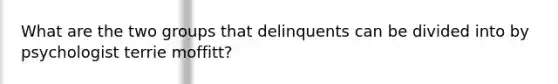 What are the two groups that delinquents can be divided into by psychologist terrie moffitt?