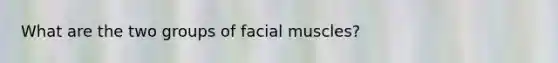 What are the two groups of facial muscles?