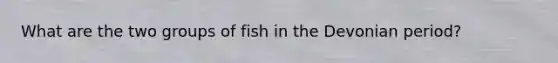 What are the two groups of fish in the Devonian period?