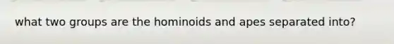 what two groups are the hominoids and apes separated into?