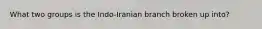 What two groups is the Indo-Iranian branch broken up into?