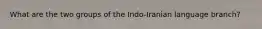 What are the two groups of the Indo-Iranian language branch?