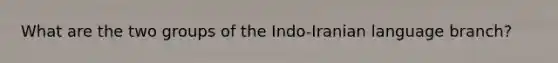 What are the two groups of the Indo-Iranian language branch?