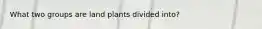 What two groups are land plants divided into?