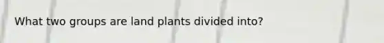 What two groups are land plants divided into?