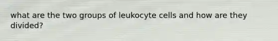 what are the two groups of leukocyte cells and how are they divided?