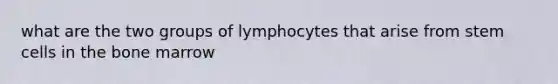 what are the two groups of lymphocytes that arise from stem cells in the bone marrow