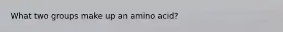 What two groups make up an amino acid?