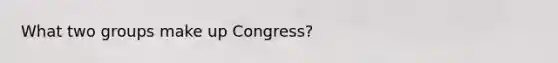 What two groups make up Congress?