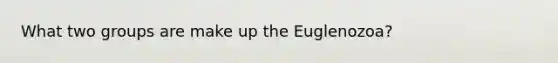 What two groups are make up the Euglenozoa?