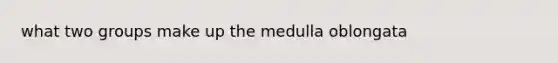 what two groups make up the medulla oblongata