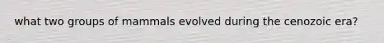 what two groups of mammals evolved during the cenozoic era?