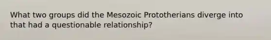 What two groups did the Mesozoic Prototherians diverge into that had a questionable relationship?