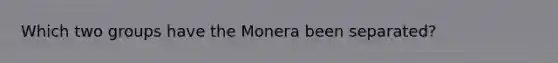 Which two groups have the Monera been separated?