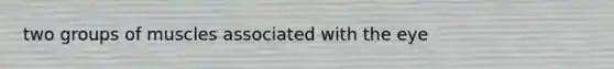 two groups of muscles associated with the eye