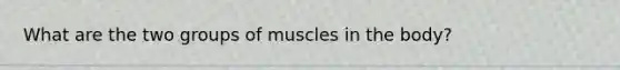 What are the two groups of muscles in the body?