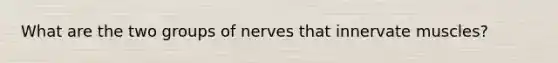 What are the two groups of nerves that innervate muscles?