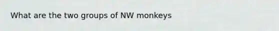 What are the two groups of NW monkeys